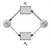 Hình 2 48 Đồ thị cấp phát tài nguyên để tránh deadlock Nếu không có chu trình 2