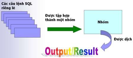 Scripts Các câu lệnh SQL có thể được thực thi trong script bằng cách lưu trên 1