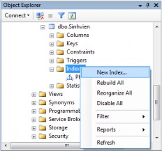 Hình 9 23 Tạo chỉ mục Bước 2 Xác định các thông số Nhập tên chỉ mục 18