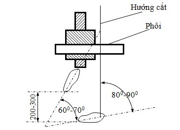 Hình 15 Vị trí đứng khi cưa tay Cách cầm cưa tay thuận nắm tay cầm của 4