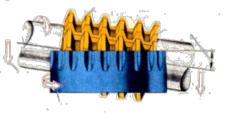 Hình 5 3 Phay lăn răng Hình 5 4 Phay răng định hình 2 2 4 Phay bánh răng trụ răng 1