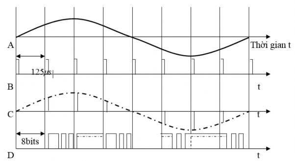 Hình 2 16 Tín hiệu mã hoá Để biểu diễn biên độ các mẫu analog một cách 3