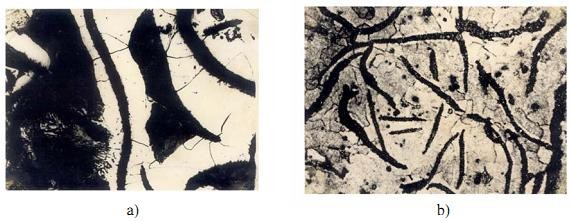 Hình 2 13 Tổ chức tế vi của gang xám a gang xám pherit b gang xám pherit – peclit 1