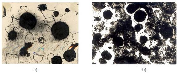 Hình 2 14 Tổ chức tế vi của gang cầu a gang cầu ferit b gang cầu ferit – peclit 3