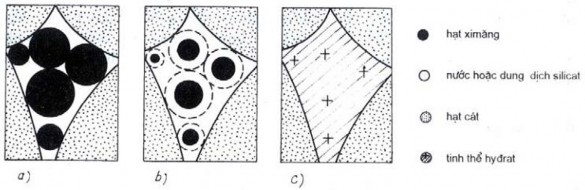 Hình 4 4 Sơ đồ mô tả quá trình hydrat hóa và đông đặc của vữa xi măng Để 2
