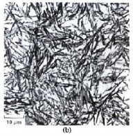 Hình 1 12 Kiểu mạng mactenxit và tổ chức maxtenxit b Các đặc điểm của chuyển 12