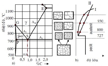 Hình 1 5 Sơ đồ phát triển austenit I di truyền hạt nhỏ II di truyền hạt lớn 5