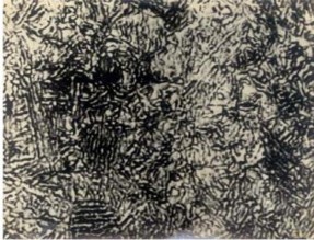 Hình 1 9 Tổ chức tế vi của bainit Nhận thấy về cơ bản có thể coi peclit 9