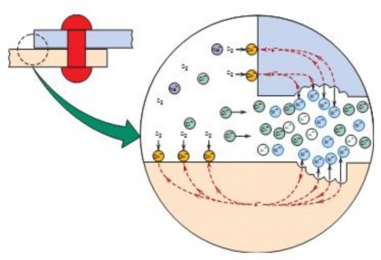 Hình 7 3 Cơ chế ăn mòn khe Ăn mòn ở đường mím nước lớp nước trên bề 12