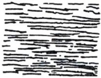 a b c a một chiều song song Hình 6 2 Sơ đồ phân bố cốt sợi b ngẫu nhiên 2