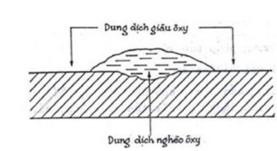 Hình 7 5 Ăn mòn ở vùng lắng đọng d Ăn mòn lỗ Dạng ăn mòn này thường xảy 2