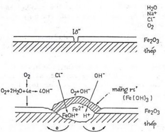 Hình 7 7 Ăn mòn lỗ của thép thụ động trong ion Cl Ở vùng đấy lỗ nghèo oxy 5
