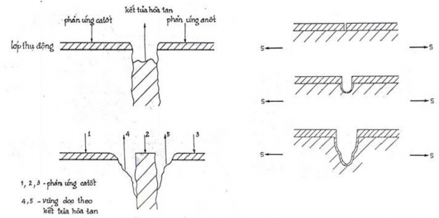 Hình 7 10 Ăn mòn do ứng lực g Ăn m òn m ỏi Là hiện tượng ăn mòn xảy ra trong 8