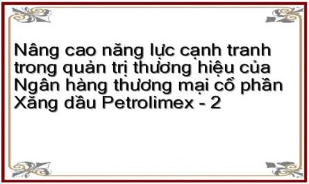 Nâng cao năng lực cạnh tranh trong quản trị thương hiệu của Ngân hàng thương mại cổ phần Xăng dầu Petrolimex - 2
