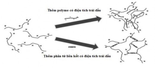 Hình 2 5 Cơ chế tạo gel do ion hoá Rajoria G and Gupta A 2012  Một số polymer 3