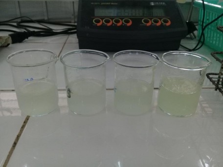 Hình 4 1 Các công thức được trung hoà bằng triethanolamin đã chuẩn bị Các công 2