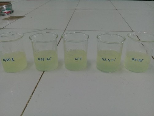 Hình 4 3 Các công thức phối hợp với HPMC đã chuẩn bị Các công thức khảo 1
