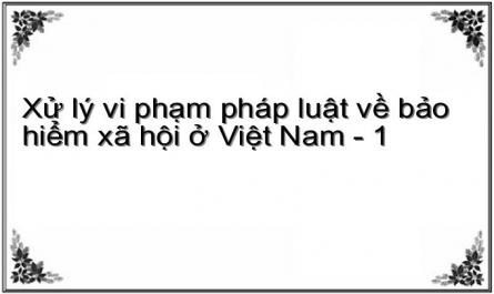Xử lý vi phạm pháp luật về bảo hiểm xã hội ở Việt Nam - 1