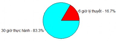 Biểu đồ 3 3 Tỷ lệ thời lượng huấn luyện tâm lý trong kế hoạch huấn 6
