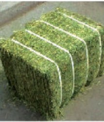 Hình 3 13 Cỏ khô ép bánh Hình 3 14 Phơi cỏ khô để dự trữ Với đặc điểm 15