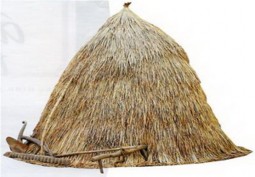 Hình 3 1 Rơm rạ phơi khô Hình 3 2 Bảo quản rơm rạ khô cho trâu bò Mềm hóa 2