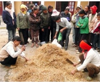 Bước 1 Chuẩn bị nguyên liệu dụng cụ Nguyên liệu Rơm khô 100kg đạm 3