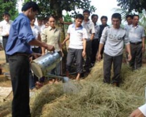 Hình 3 4 Tưới nước ure lên rơm rạ khô trước khi ủ Tưới nước đã pha 4