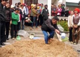 Hình 3 4 Tưới nước ure lên rơm rạ khô trước khi ủ Tưới nước đã pha 5