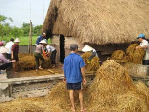 Dụng cụ Bể xây hoặc chảo thùng nhựa để ngâm rơm giá để cây đảo 7