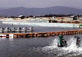 Hình 1 2 Ao nuôi tôm C Câu hỏi 1 Hãy trình bày đặc điểm của biển Việt Nam 2