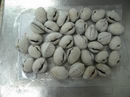Hình 2 19 Sò huyết bao gói lạnh đông 2 4 Rong biển cao Có trên 10 loài có giá 16