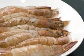 Hình 2 12 Tôm chì nhất  Tôm hùm Là loài tôm có kích thước lớn lớn nhất 9