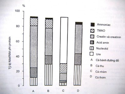 Hình 3 26 Sự phân bố nitơ phi protein trong cơ thịt cá A B hai loài cá biển 2