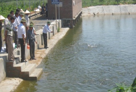 Mô hình nuôi cá lăng của hộ gia đình anh Nguyễn Đỗ Thế Cường ở khu đồng 6