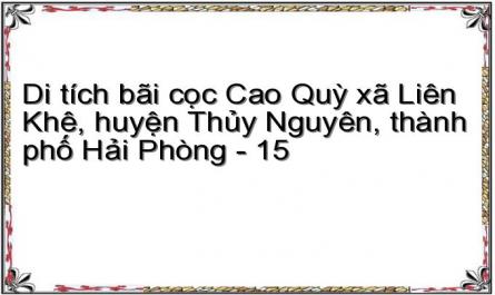 Nguyễn Quang Ngọc, Trần Đức Cường (Đồng Chủ Biên, 2020) Ngô Quyền Vị Tổ Trung Hưng Đất