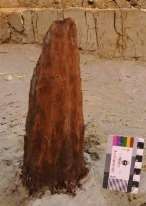 Ảnh 25 Cọc gỗ 19 CQ H1 C10 Nguồn Đinh Thị Thanh Nga Ảnh 26 Cọc gỗ 24