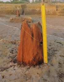 Ảnh 55 Cọc gỗ 19 CQ H3 C6 Nguồn Đinh Thị Thanh Nga Ảnh 58 Di tích 19 CQ H3 F2 25