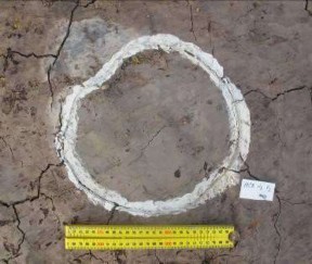 Ảnh 58 Di tích 19 CQ H3 F2 Nguồn Đinh Thị Thanh Nga Ảnh 60 Di tích 19 CQ H3 F3 28