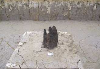 Ảnh 35 Cọc gỗ 20 CQ H2 C1 Nguồn Đinh Thị Thanh Nga Ảnh 37 Cụm gỗ 1 tại 8