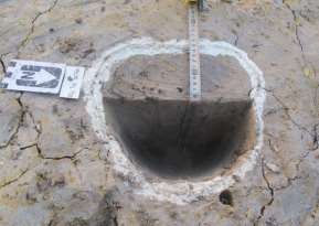 Ảnh 79 Di tích 19 CQ H3 F23 Nguồn Đinh Thị Thanh Nga Ảnh 80 Di tích 19 CQ H3 F24 12