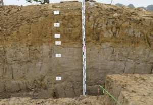 Ảnh 84 Cảnh khai quật hố 20 CQ H1 Nguồn Lê Thị Liên Ảnh 85 Địa tầng 19