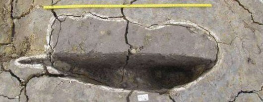 Ảnh 65 Di tích 19 CQ H3 F7 Nguồn Đinh Thị Thanh Nga Ảnh 66 Di tích 19 CQ H3 F9 2