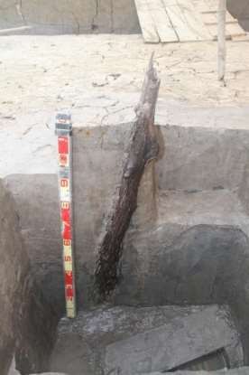 Ảnh 93 Cọc gỗ 20 CQ H4 C2 Nguồn Bùi Văn Hùng Ảnh 94 Cọc gỗ 20 CQ H4 C3 26