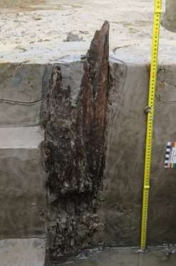 Ảnh 95 Cọc gỗ 20 CQ H4 C4 Nguồn Bùi Văn Hùng Ảnh 96 Cọc gỗ 20 CQ H4 C5 28