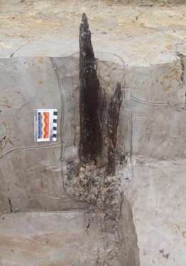 Ảnh 97 Cọc gỗ 20 CQ H4 C6 Nguồn Bùi Văn Hùng Ảnh 98 Cọc gỗ 20 CQ H4 C7 31