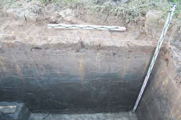 Ảnh 110 Một đoạn địa tầng vách Bắc hố 20 CQ TS2 Nguồn Lê Thị Liên 14