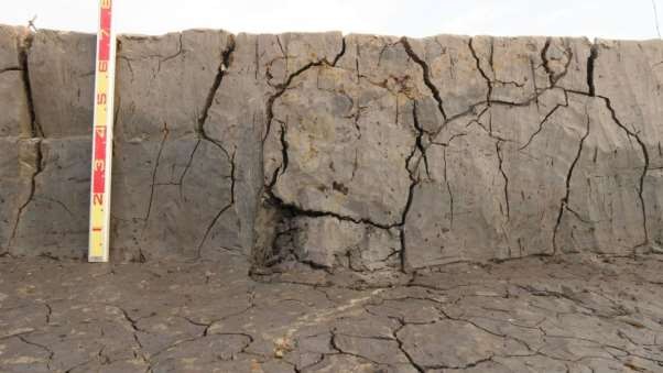 Ảnh 102 Mặt cắt hố đất đen 20 CQ H5 HĐĐ1 Nguồn Lê Thị Liên Ảnh 102 Cọc 4