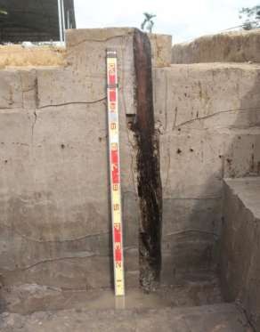 Ảnh 102 Cọc gỗ 20 CQ H5 C1 Nguồn Bùi Văn Hùng Ảnh 103 Chân cọc gỗ 5