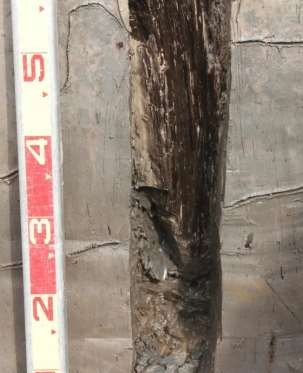 Ảnh 102 Cọc gỗ 20 CQ H5 C1 Nguồn Bùi Văn Hùng Ảnh 103 Chân cọc gỗ 6