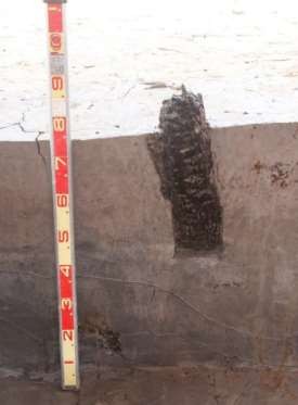 Ảnh 104 Cọc gỗ 20 CQ H5 C2 Nguồn Bùi Văn Hùng Ảnh 105 Cọc gỗ 20 CQ H5 C3 7